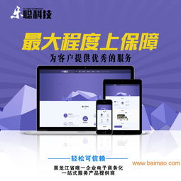 國(guó)內(nèi)權(quán)威網(wǎng)站關(guān)鍵詞優(yōu)化軟件公司深度解析 以哈爾濱258商務(wù)衛(wèi)士為例