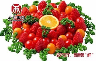 西商之聲 | 農產品 以地產農產品供給為重點